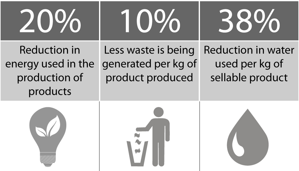 Detmold Group Sustainability Reduction Chart